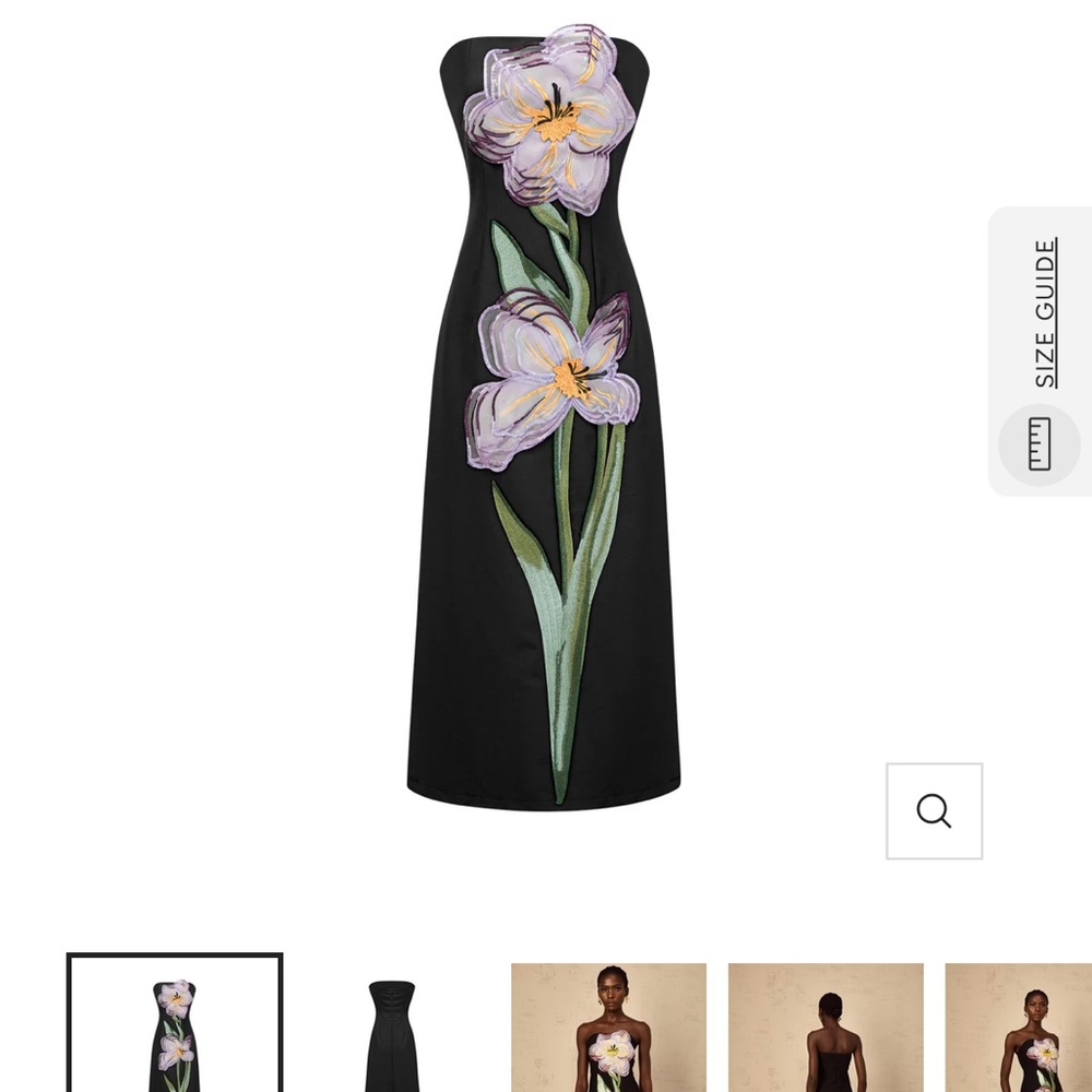 Miss Rosier Irene Sequin Embroidered Midi Dress - Picture 6 of 6